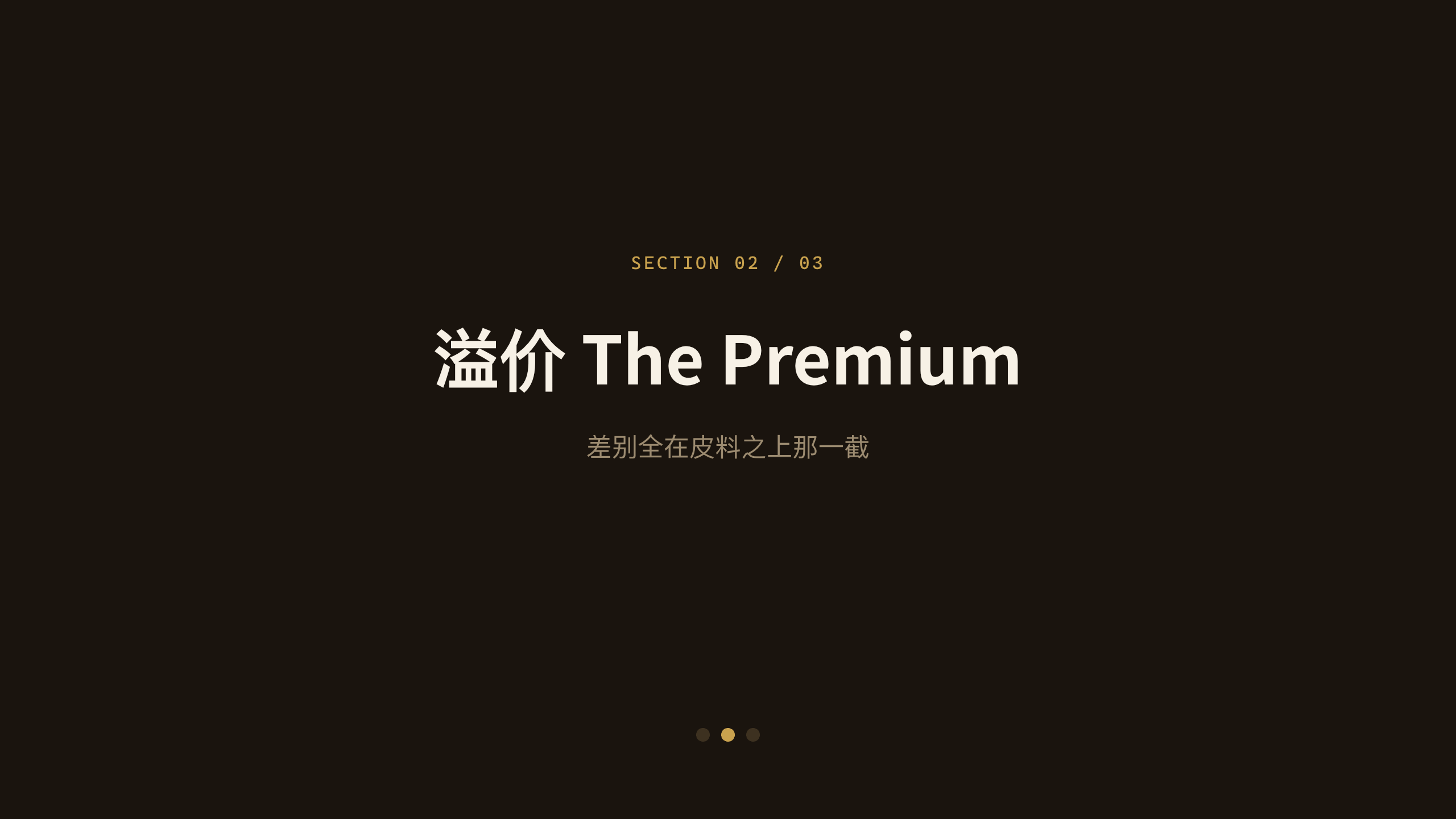 奢侈品手袋 / Luxury handbags 第 6 页